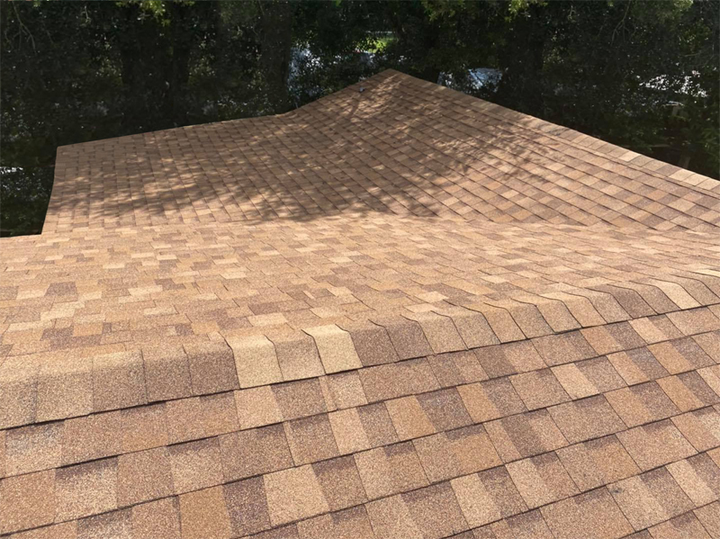 Brown, Residential Shingle Roofing Requiring Repair.